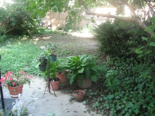 Landscaping before - rear 1